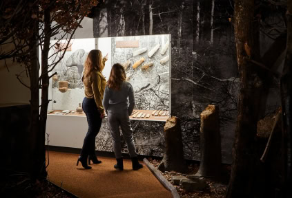 Eine Frau und Tochter betrachteten verscheidende archäologische Funde