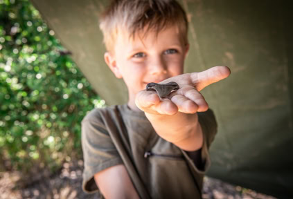 A young boy is holding a shark tooth in his hand