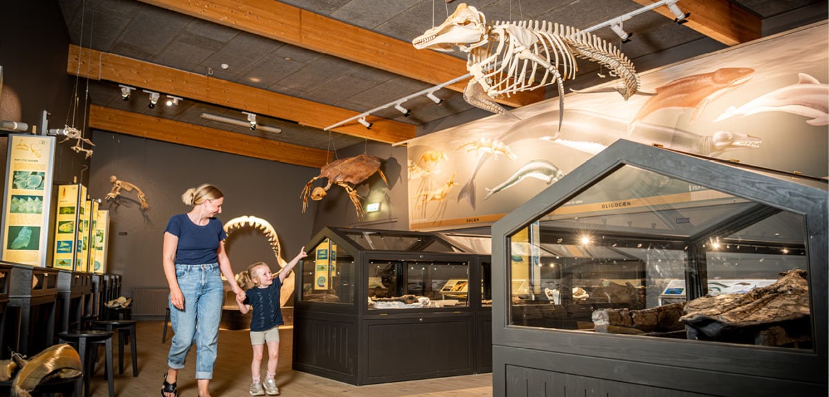 Mor og datter går rundt i udstilling af fossiler