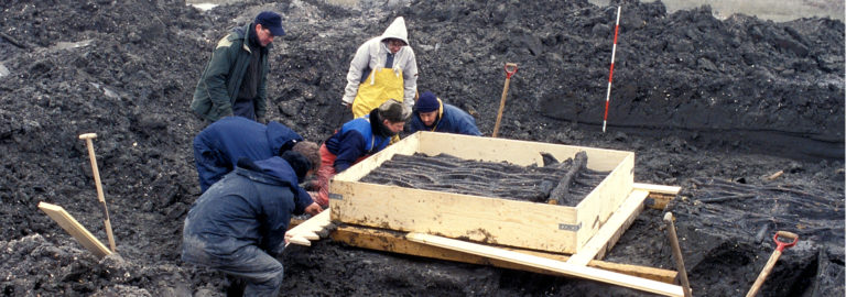 Fiskegærde arkæologer Slivsø Museum Sønderjylland