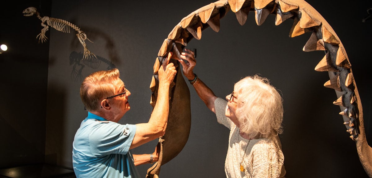 Mand og kvinde ved stort gab fra megalodon