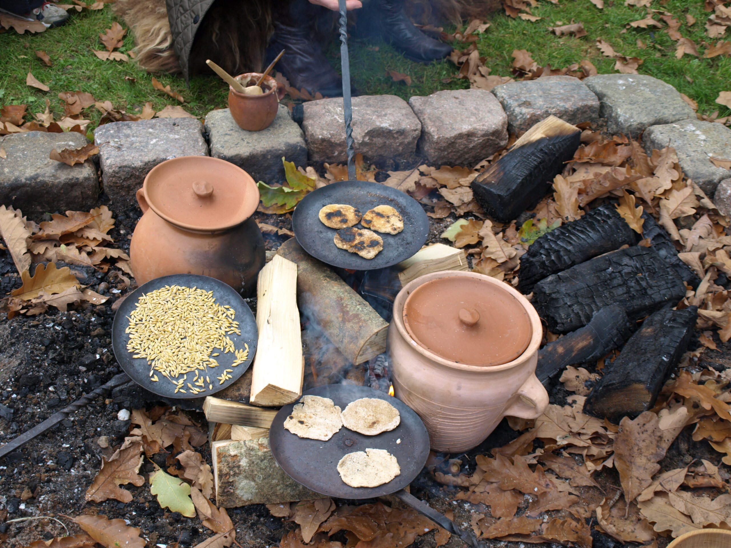 Jernalder – mad på bål