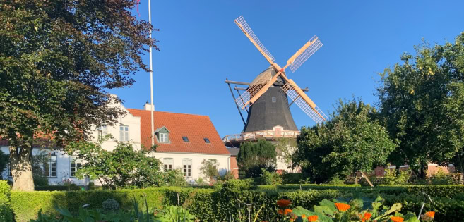 The mill in Højer and the mill garden in bloom
