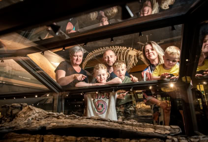 Eine Familie betrachtet die Fossilien in der Ausstellung