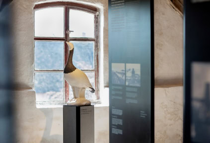 A model of a bird on display in the exhibition at Højer Mill