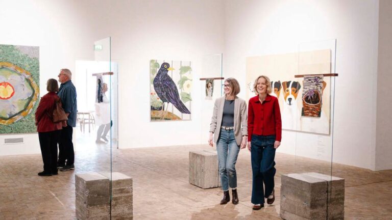 Click here and purchase online 