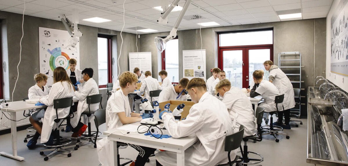 Elever i naturfagligt lokale på Bevaringscenter Sønderjylland.