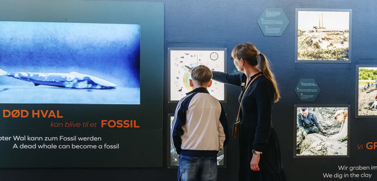Mor og søn står og kigger på udstilling om, hvordan en hval bliver til et fossil gennem mange millioner år.