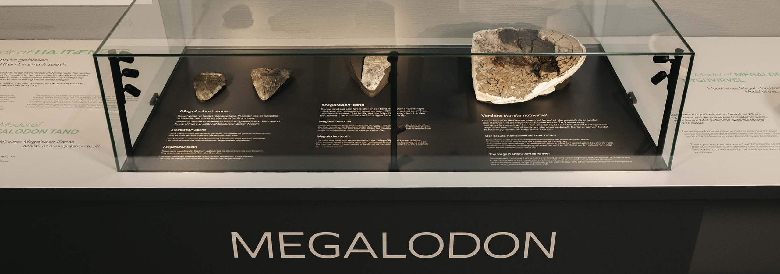 Naturhistorie